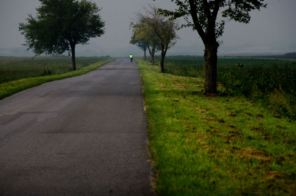 the road and the biker