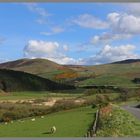 the road from Yetholm to westnewton Northumberland