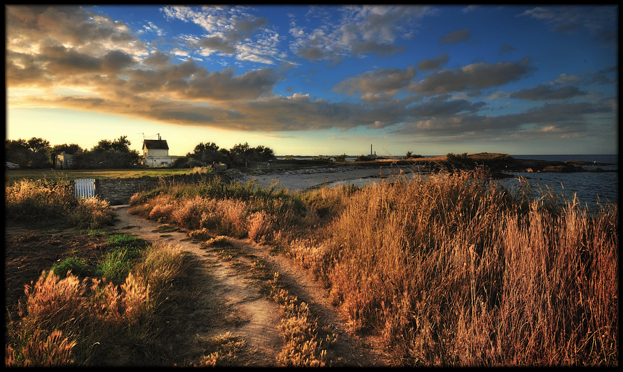 the road home