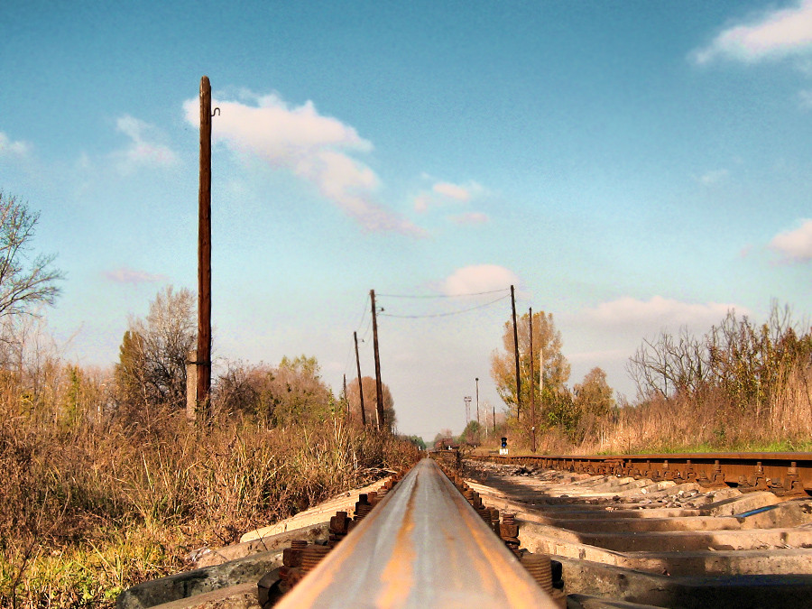 The road line