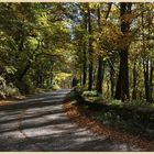 the road near cupola bridge