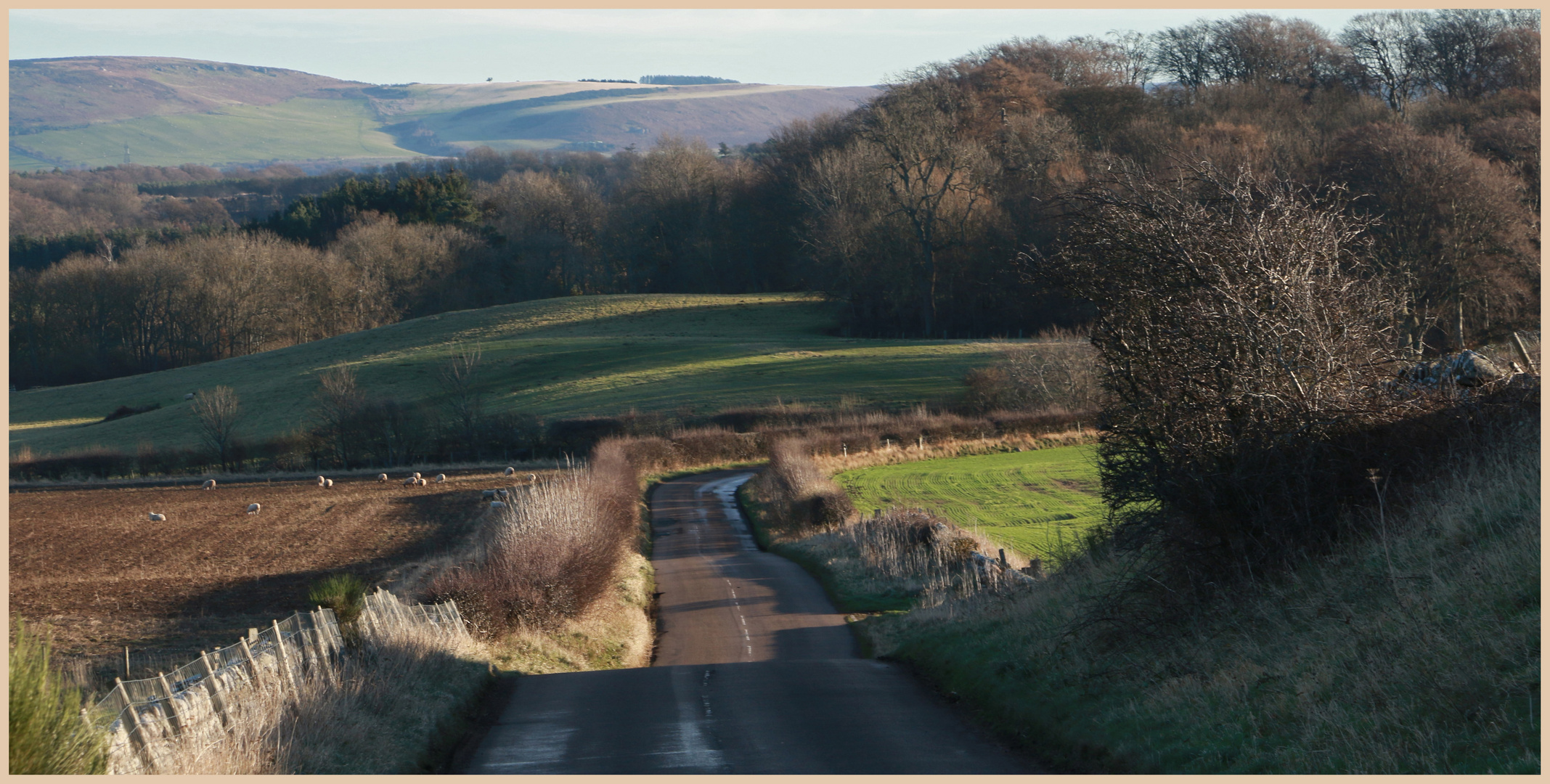 the road near kirknewton