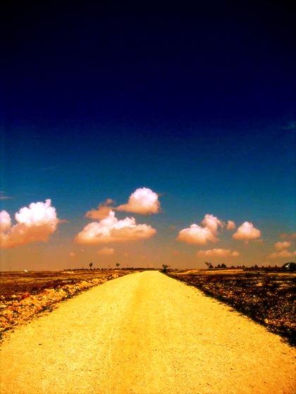 the road not taken_°