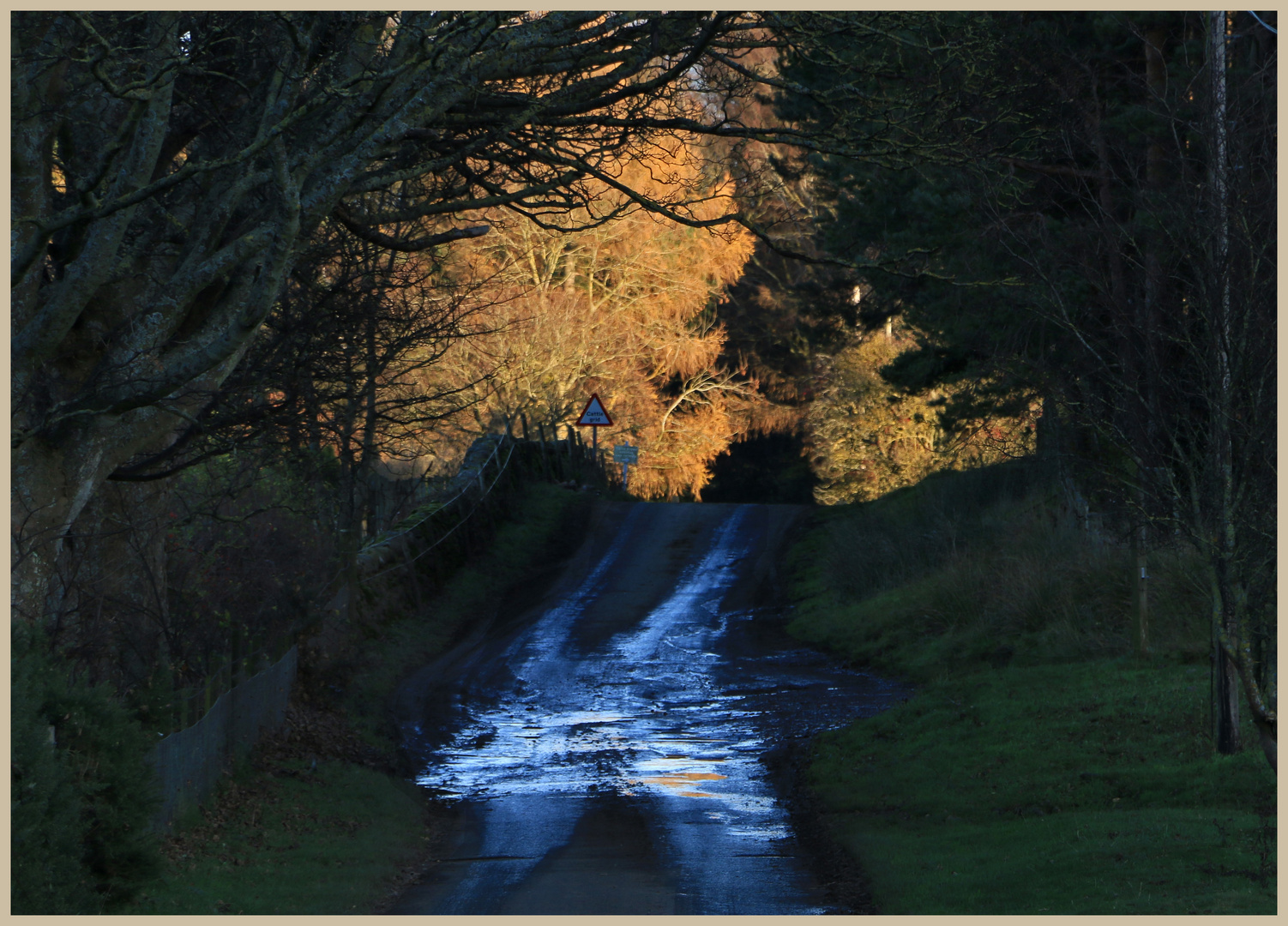 the road through ingram Village