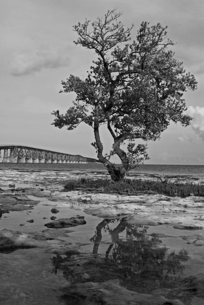 The Road Through the Key's