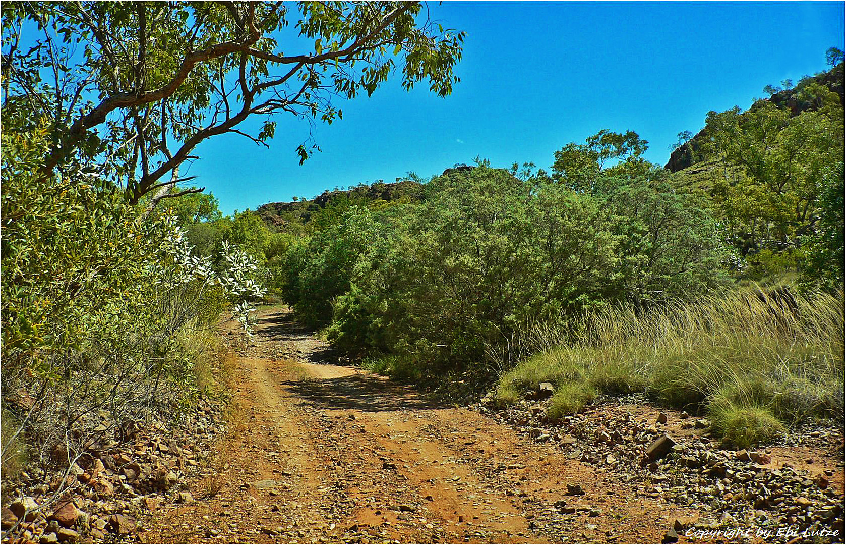 * The Road to Sawpitt Gorge *