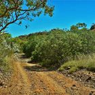 * The Road to Sawpitt Gorge *