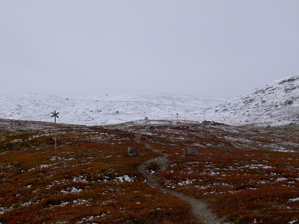 The road to snowy mountain