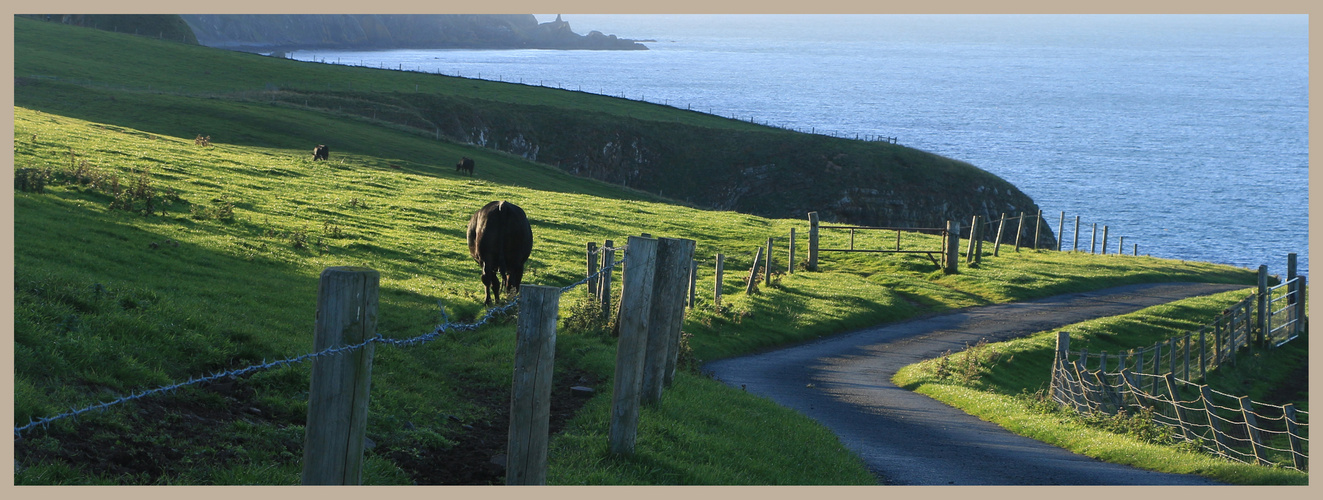 the road to st abbs head