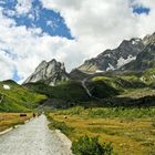 The road to the mountain pass