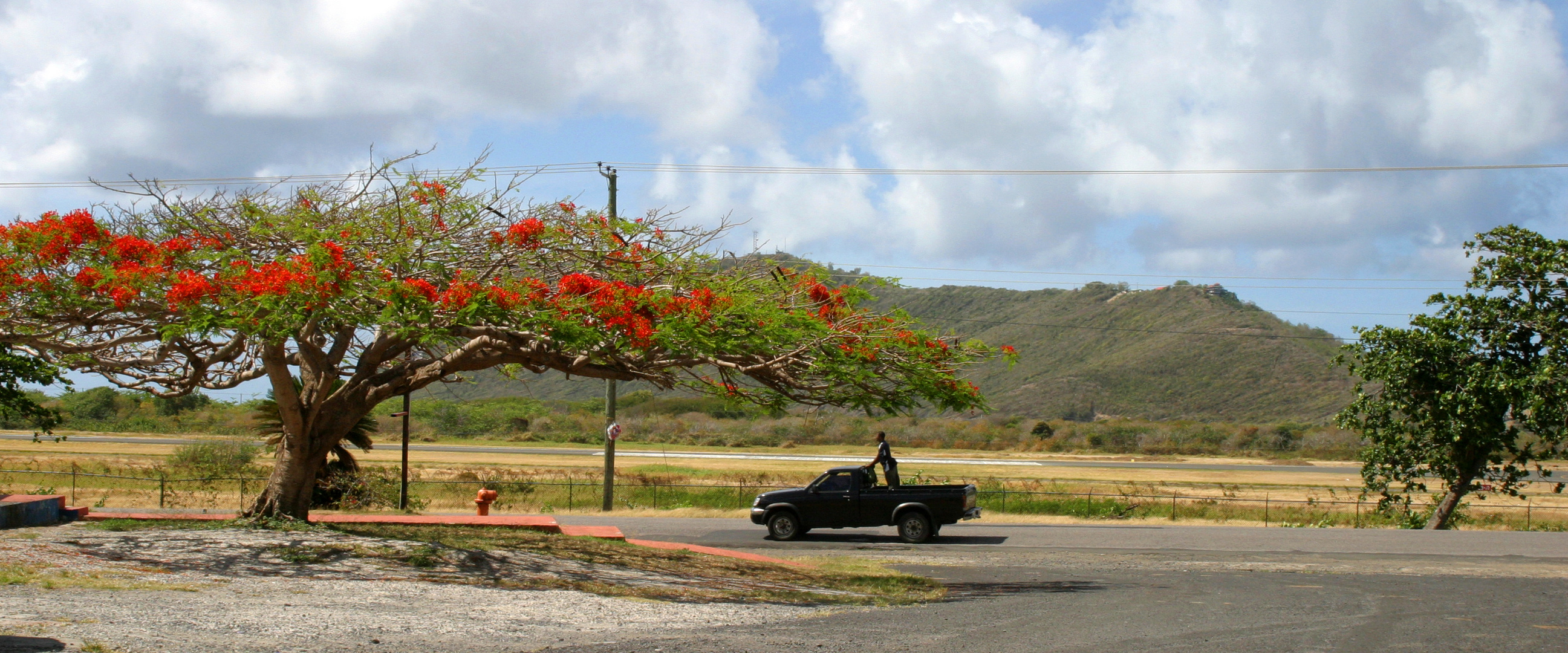 The road to Vieux Fort