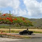 The road to Vieux Fort