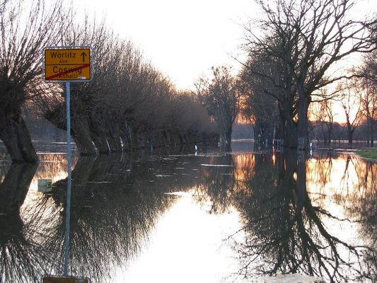 the road to wörlitz