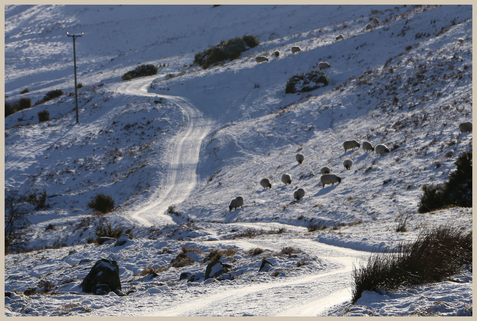 the road up the college valley 5