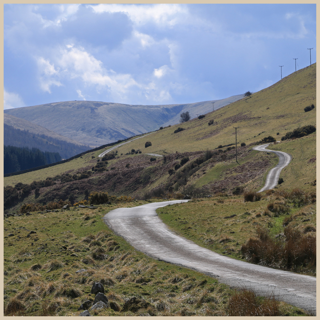 the road up the college valley