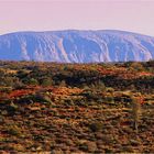 *** The Rock 20 KM Distance as the Crow flies ***