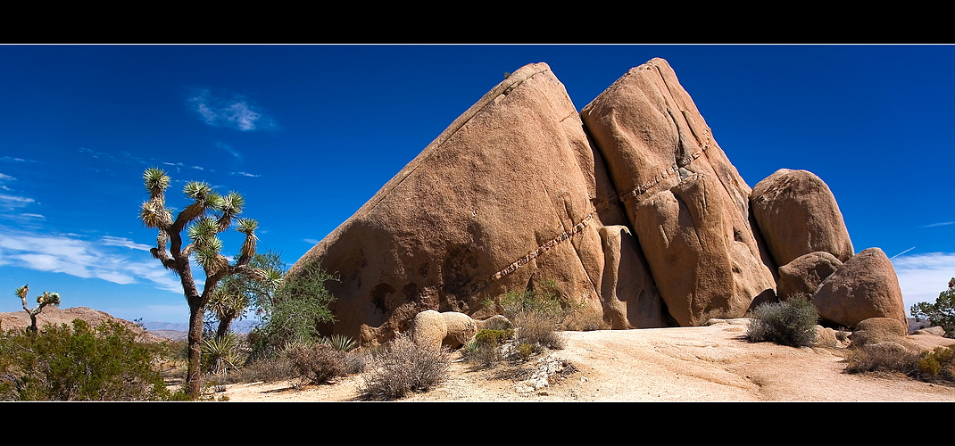 The Rock - Joshua Tree NP