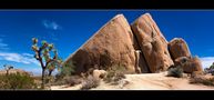 The Rock - Joshua Tree NP von Michael Fink