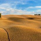 *The rolling hills of Tuscany*