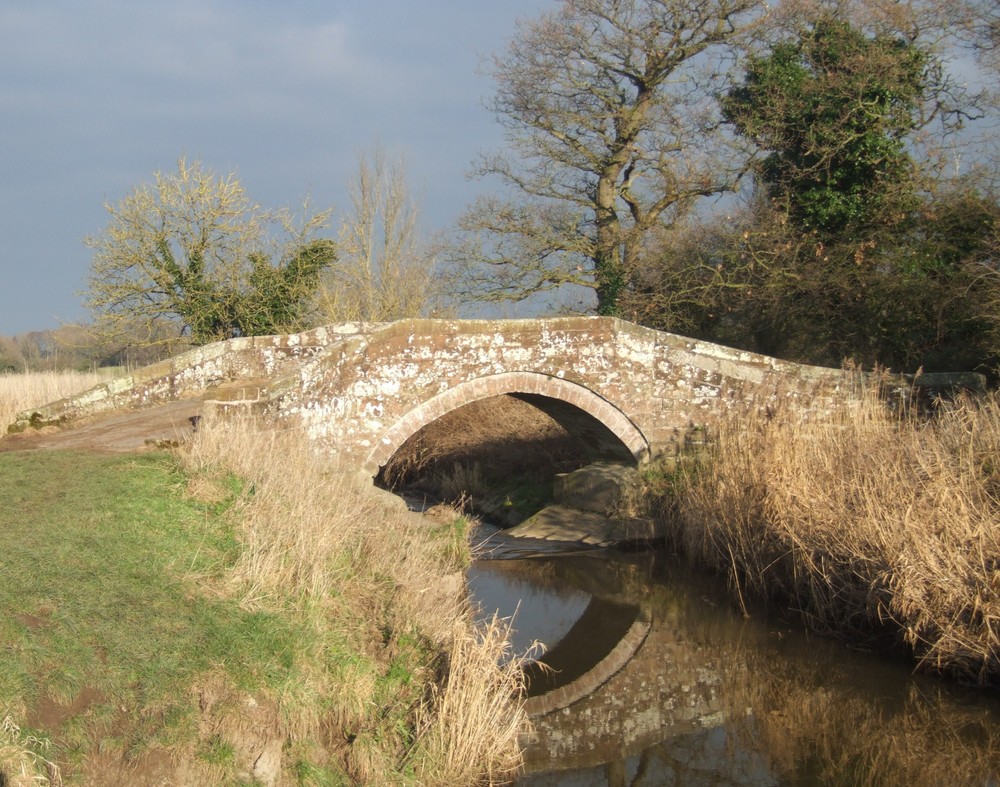 The Roman Bridges