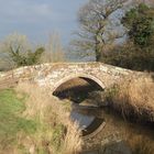 The Roman Bridges