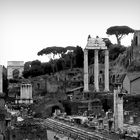 The Roman Forum