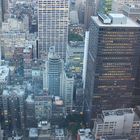 the roof tops of the city