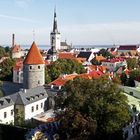 The roofs