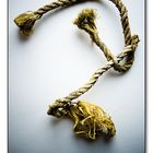 the rope