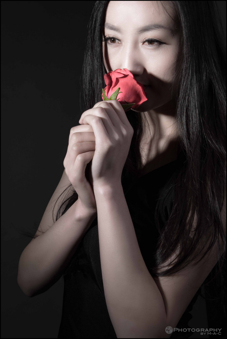 *** The Rose ***