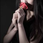 *** The Rose ***
