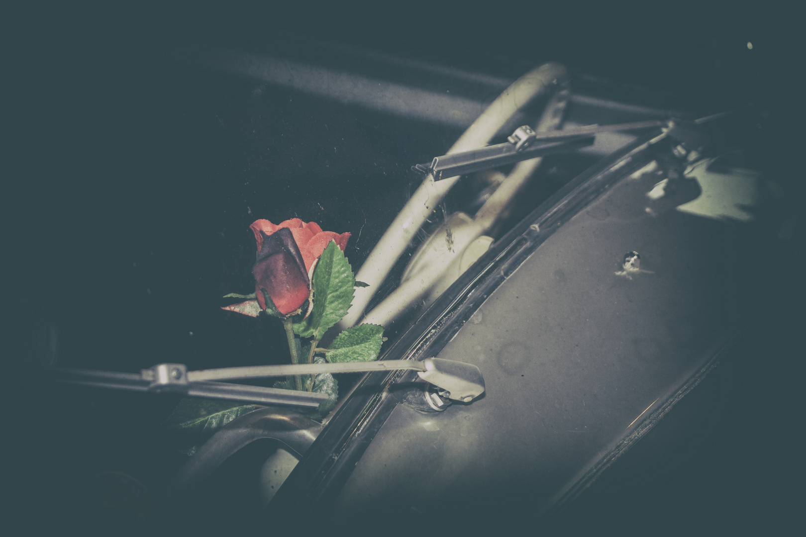 The Rose behind the windscreen