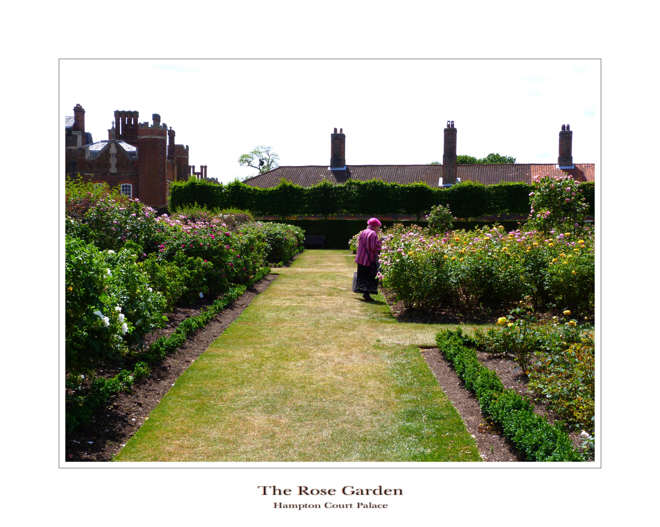 THE ROSE GARDEN - Vom Duft der Rosenblüte