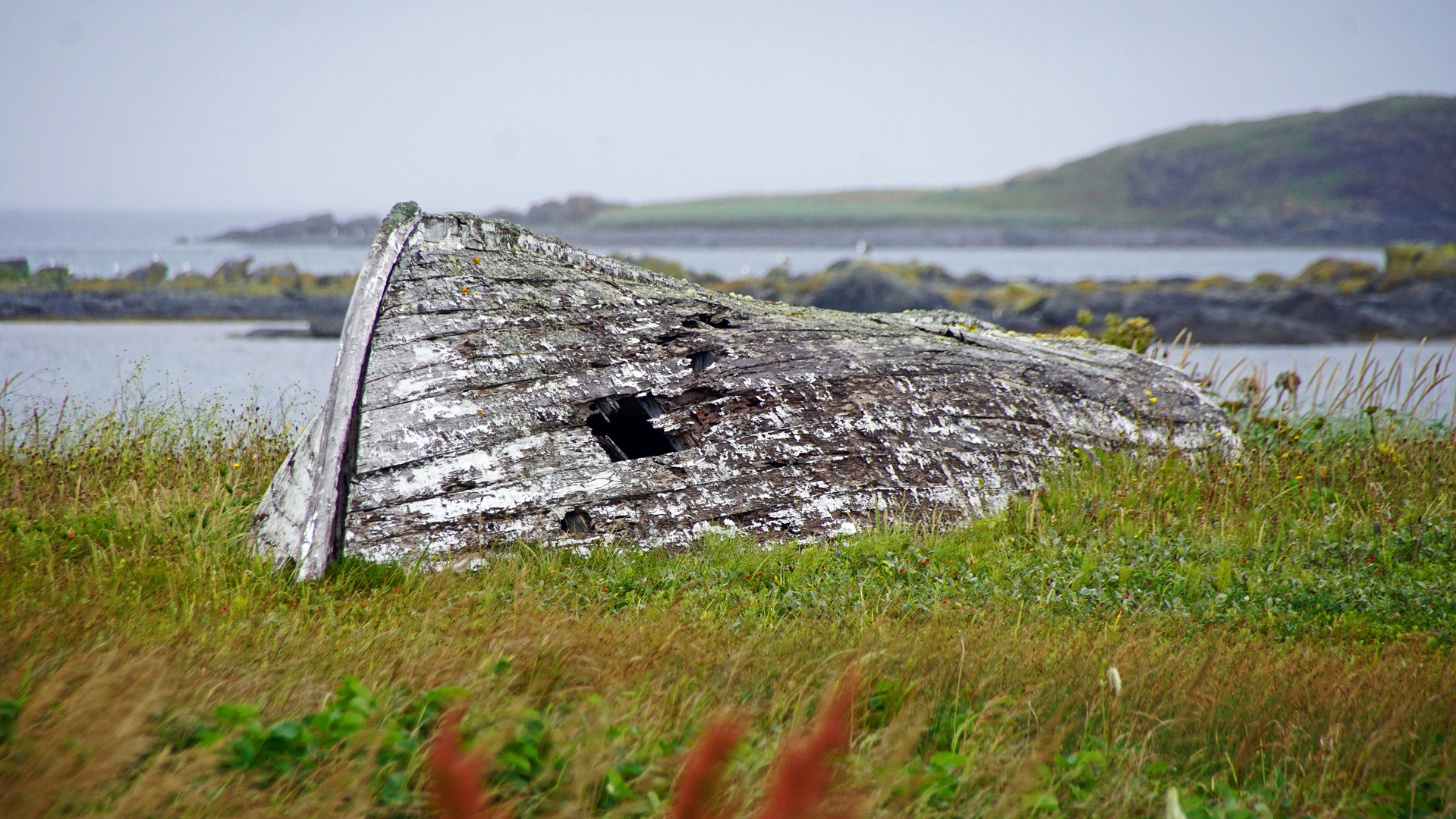 The Rotten Boat