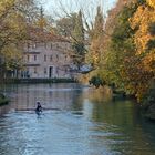 The Rowers in Treviso