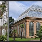 The Royal Botanic Garden - Edinburgh