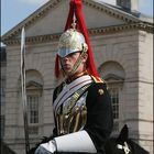 The Royal Household Cavalry