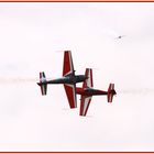 The Royal Jordanian Falcons auf der Hahnweide 2011