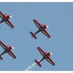 The Royal Jordanian Falcons