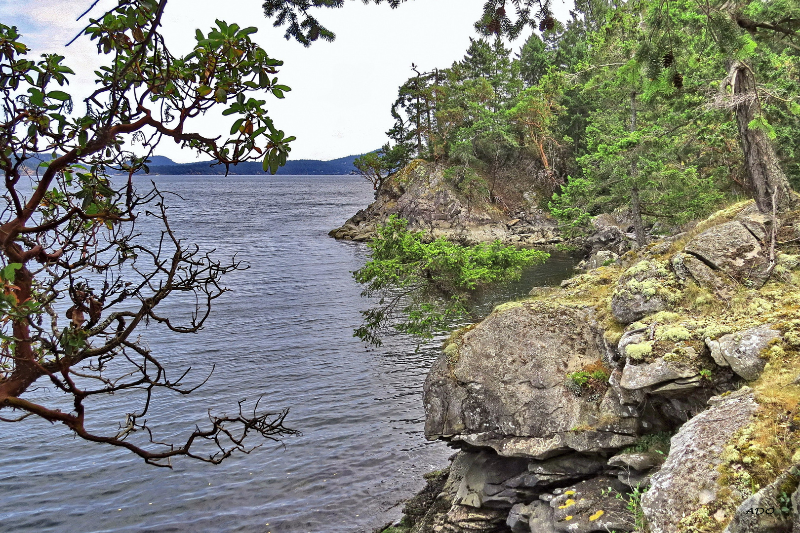 The Rugged Coastline