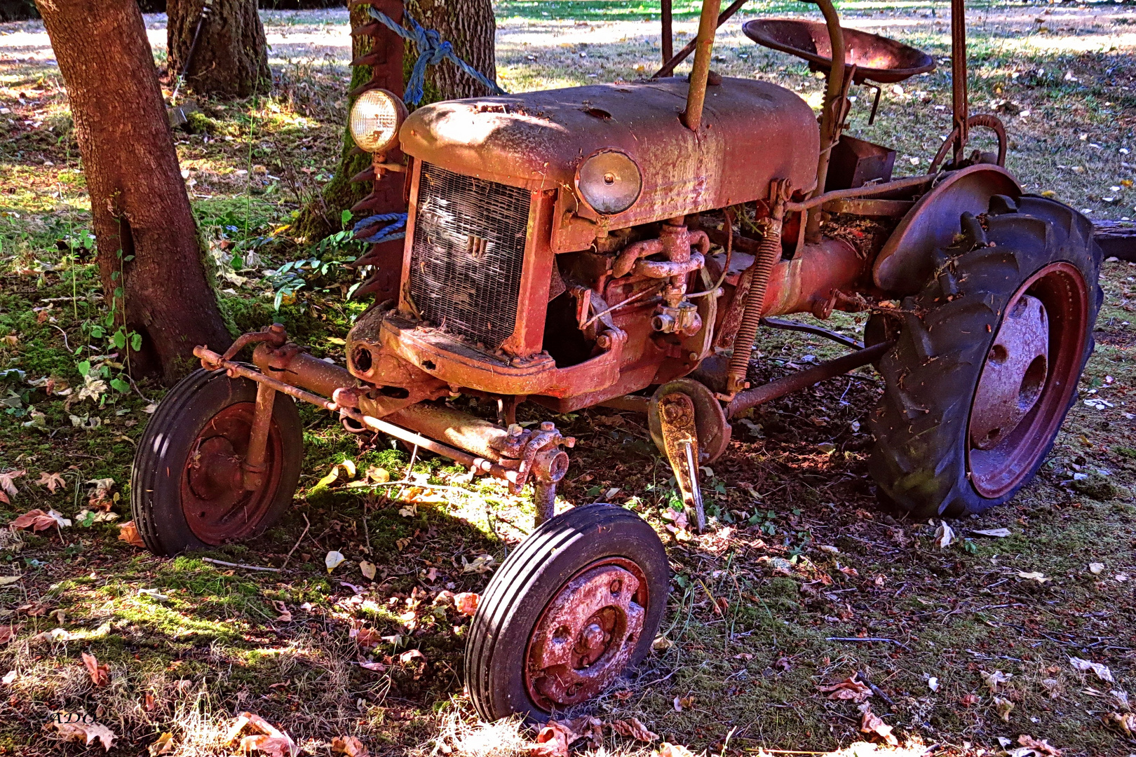 The Rusty-Red Old Tractor