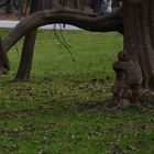 The sad little girl and the tree