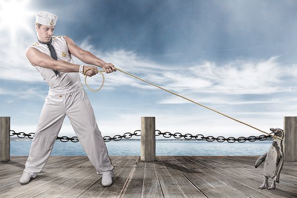 The Sailor and the penguin