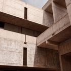 The Salk Institute