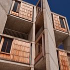 The Salk Institute