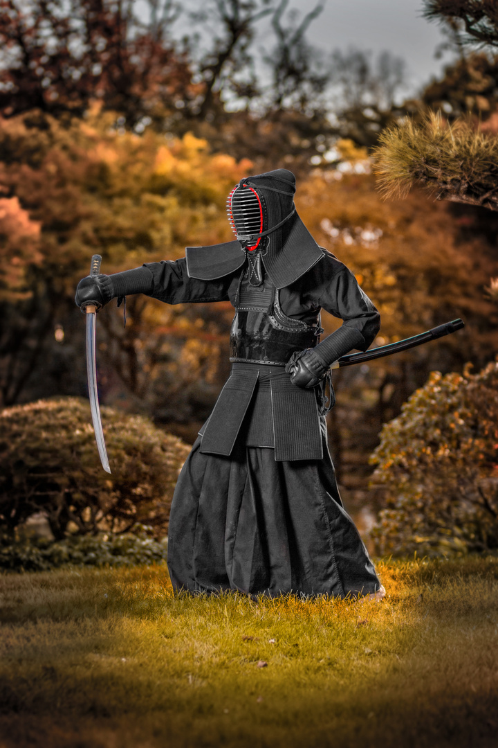 The Samurai