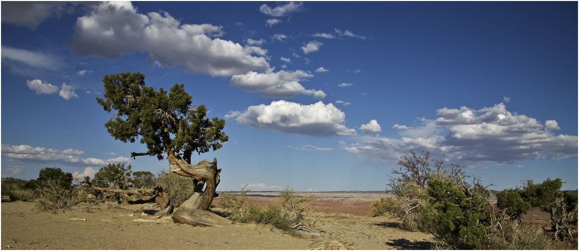 The San Rafael Swell