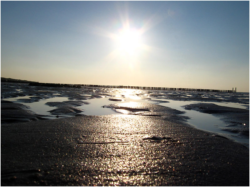 the sand is made of seashells