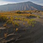 The sand sea in Bromo-Tengger-Semeru National Park