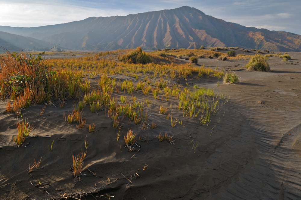 The sand sea in Bromo-Tengger-Semeru National Park